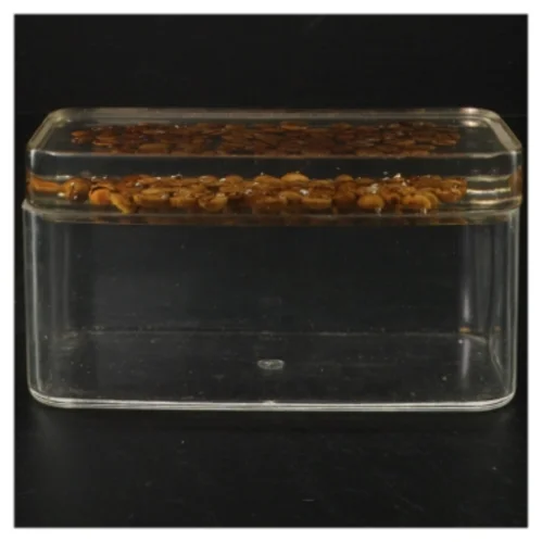 Gennemsigtig opbevaringsboks