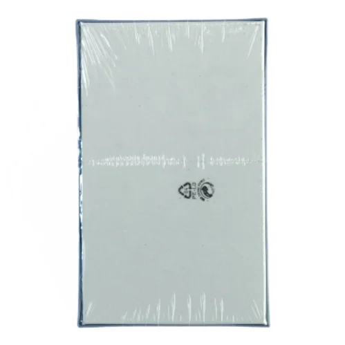 Disney Peter Plys Domino Spil fra Disney