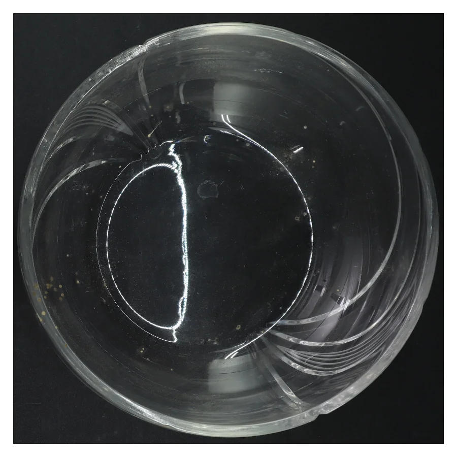 Gennemsigtig glas skål (str. Ø. 20 cm)