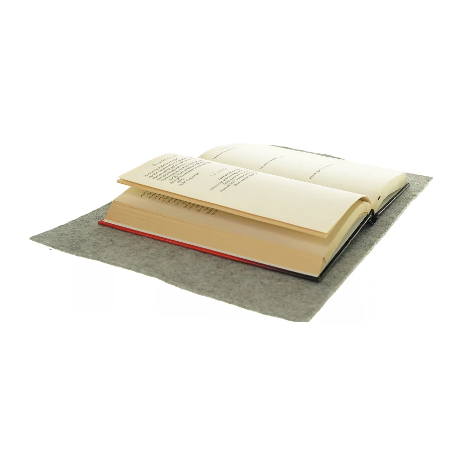 En dag åbnede min sjæl sig - af IIyanla Vanzant Bog