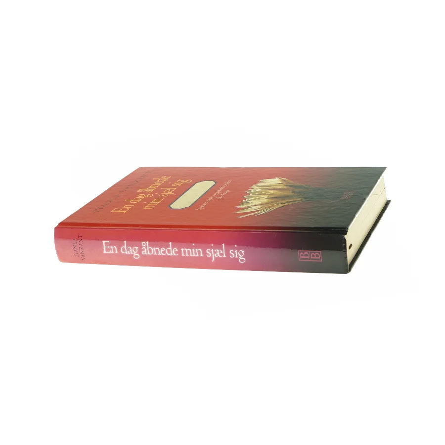 En dag åbnede min sjæl sig - af IIyanla Vanzant Bog