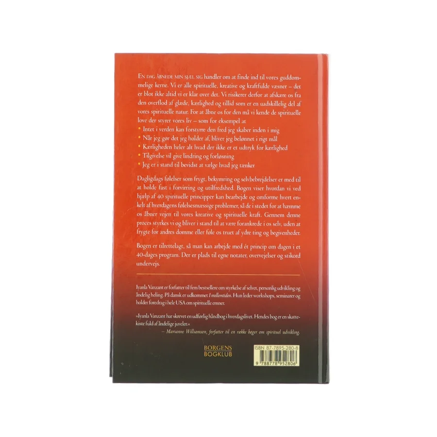 En dag åbnede min sjæl sig - af IIyanla Vanzant Bog