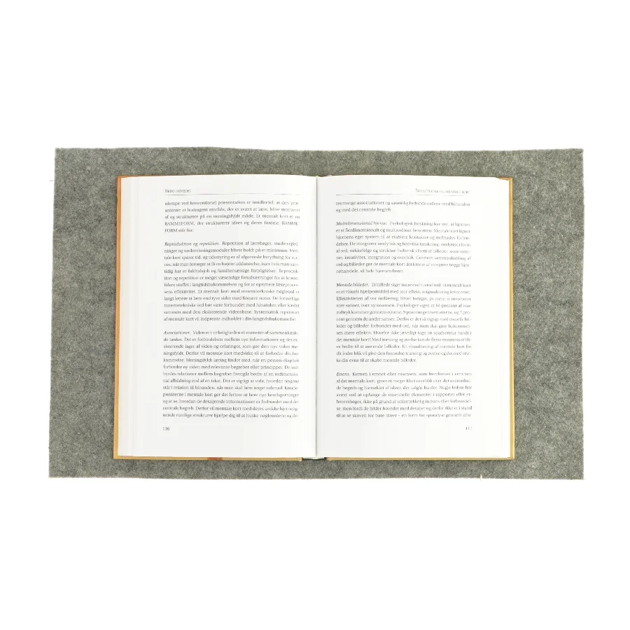 Brug hovedet - Lederens personlige ressourcer - af Samuel A. Malone (Bog)