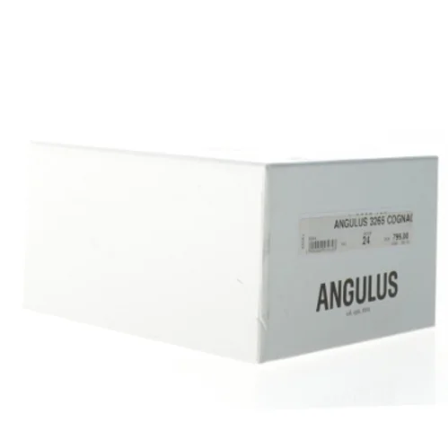 Børnestøvler fra Angulus (str. 24)