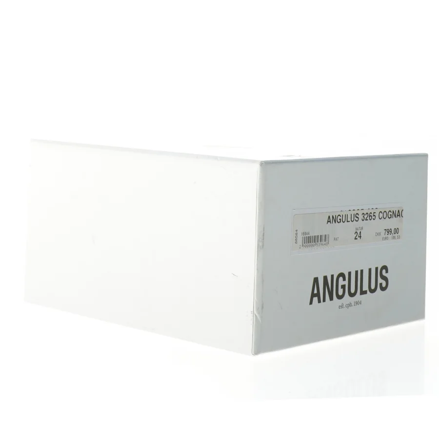 Børnestøvler fra Angulus (str. 24)