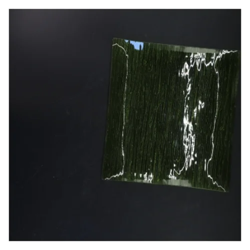 Grønt firkantet glasfad (str. 25x25 cm)