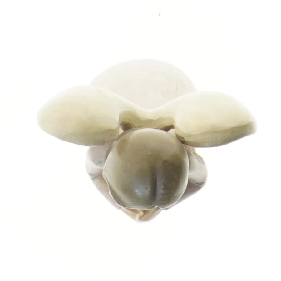 Engel figurine (str. 31 cm)