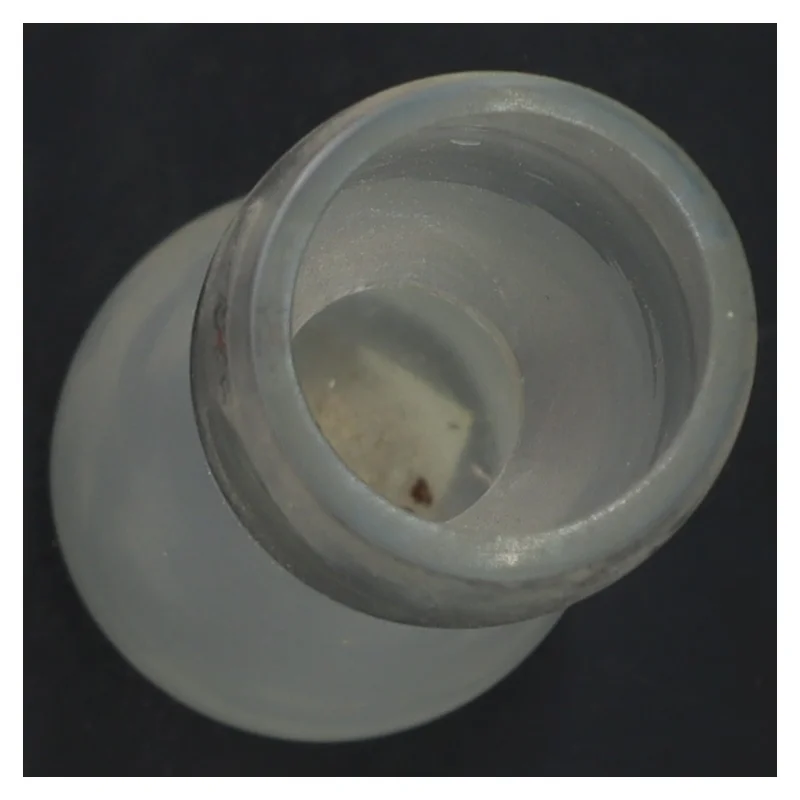 Glasvase (str. 30x6 cm)