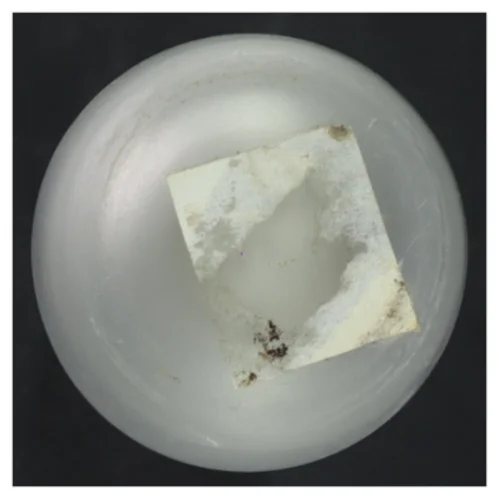 Glasvase (str. 30x6 cm)