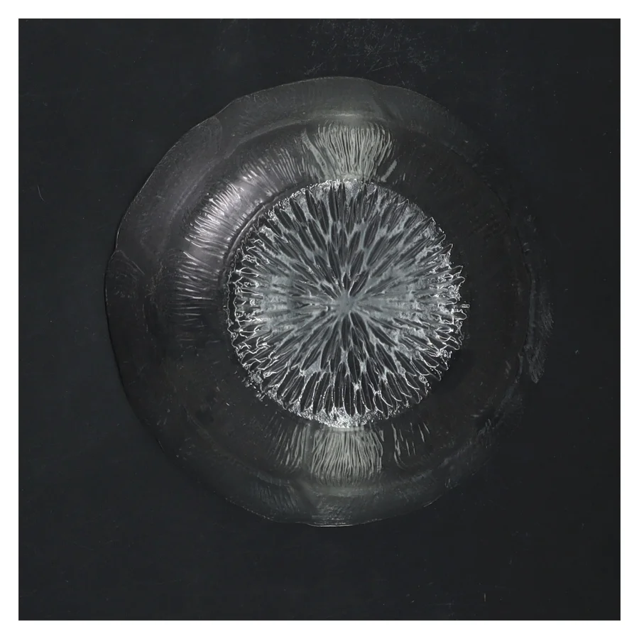 Sæt med 4 glas skåle (str. 4 styk, ø 12,5 cm)