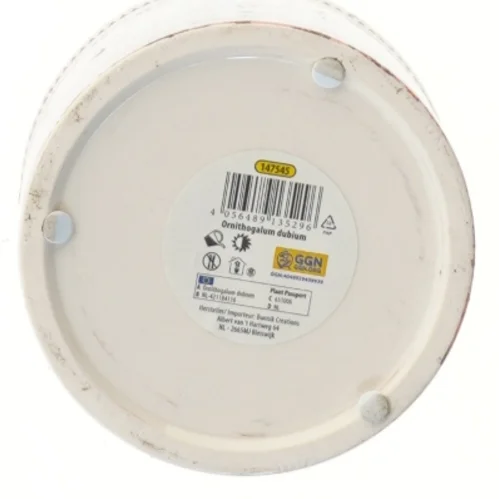 Dekoreret keramisk potte fra GGN (str. Ø 12 cm)