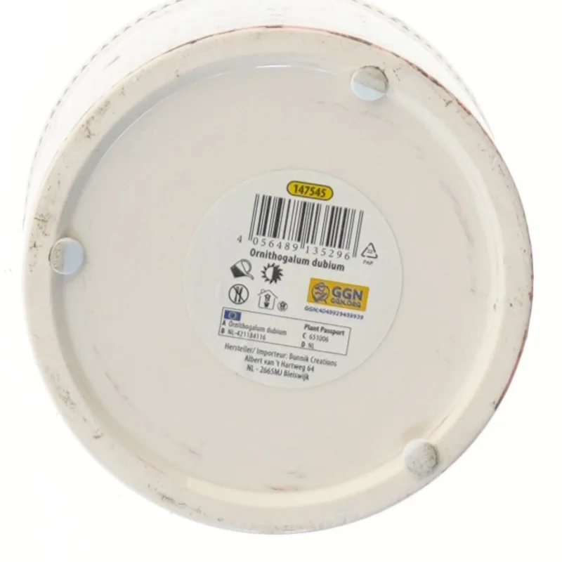 Dekoreret keramisk potte fra GGN (str. Ø 12 cm)