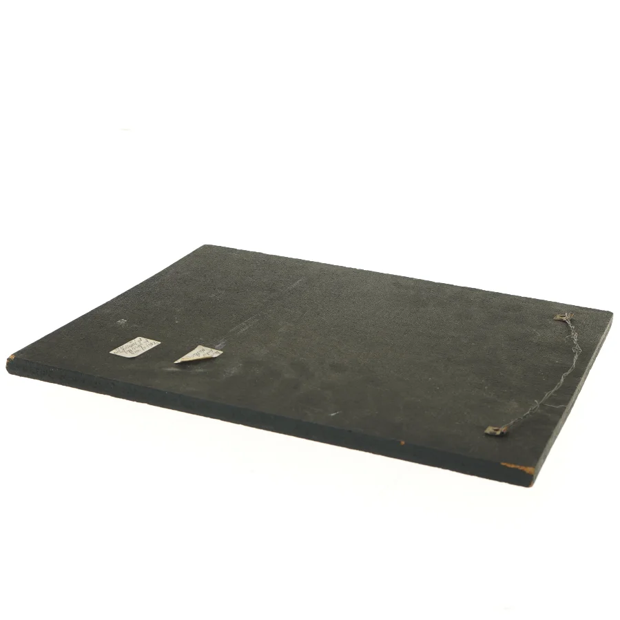 Keramisk vægdekoration fra 1972 zoologisk museum (str. 35,5x32,5 cm)