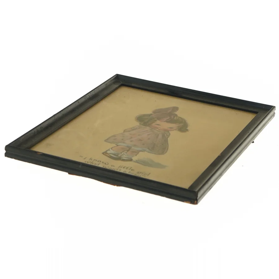 Dekorativt billede med ramme (str. 25x20 cm)