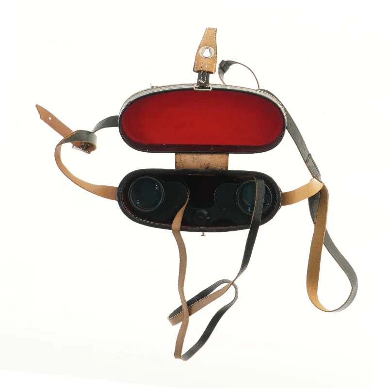  Kikkert (str. 12x16 cm)