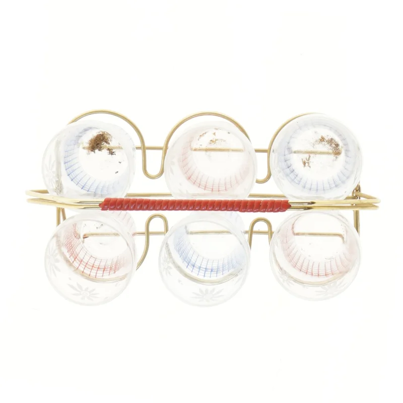 Sæt med seks dekorerede glas og holder (str. 6 stkØ 6,5 cm længde 10 cm)