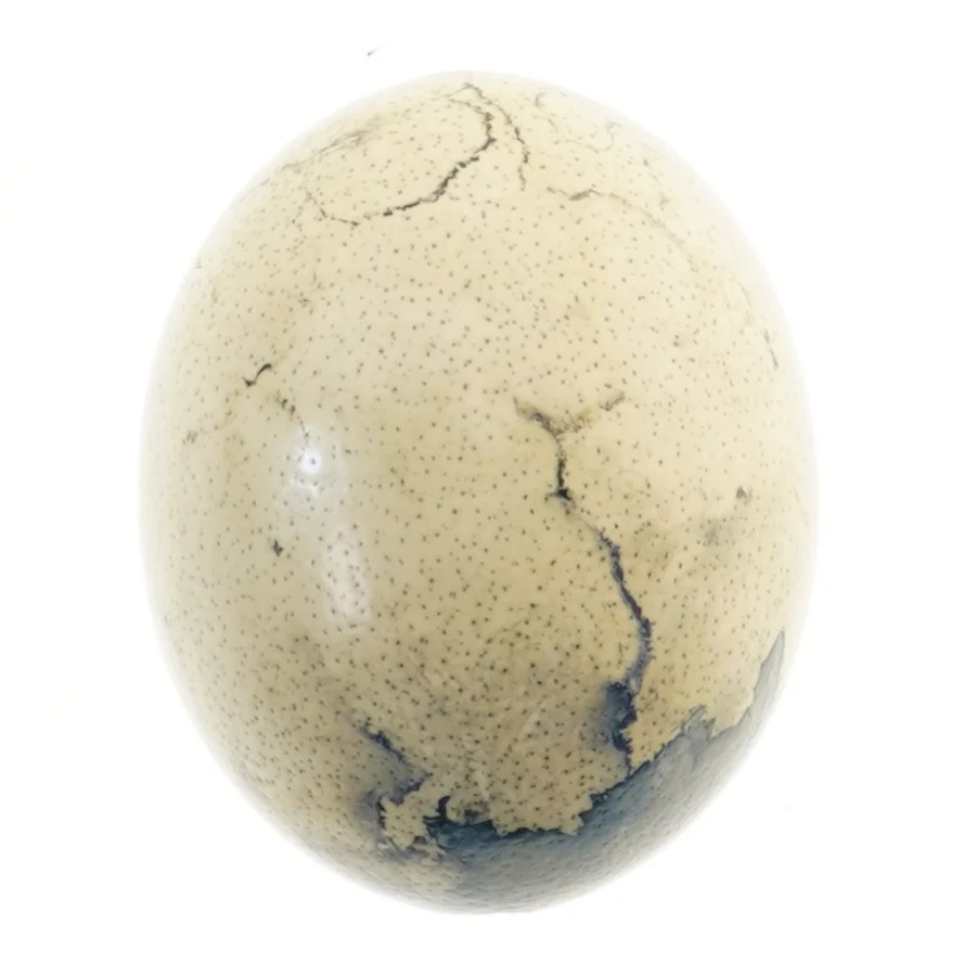 Dekorativt æg (str. 16 cm)