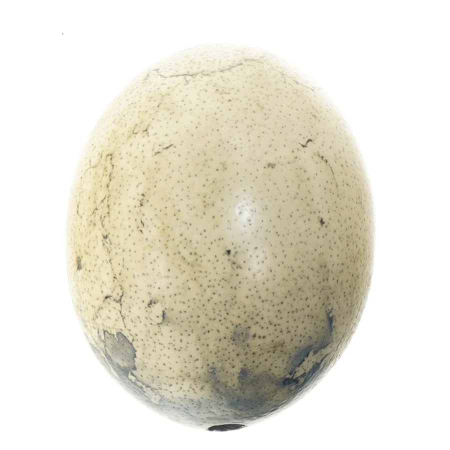 Dekorativt æg (str. 16 cm)