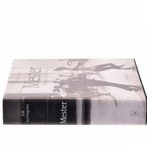 Mester af Erik Aschengreen (Bog)