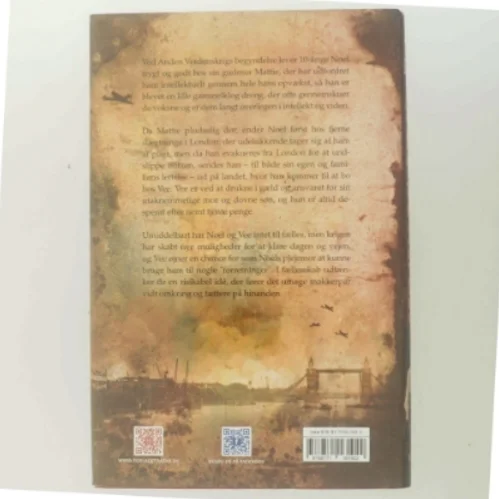 Små synder af Lissa Evans (Bog)