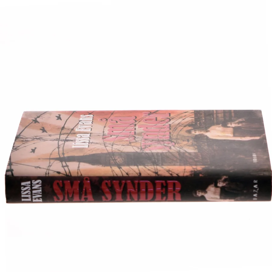 Små synder af Lissa Evans (Bog)