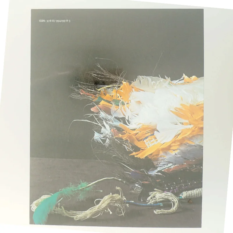 Bog om kunstnerisk rejse, Baukje Zijlstra