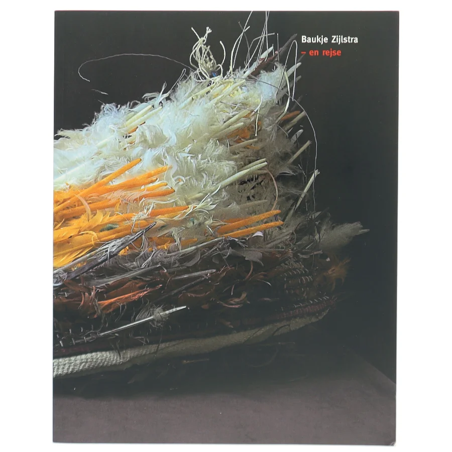 Bog om kunstnerisk rejse, Baukje Zijlstra