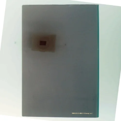 Bog: Dagligliv i Danmark 1870-1964, fra Gyldendals Bogklub