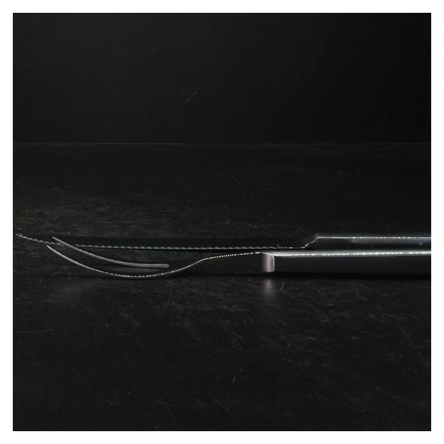 Stegegaffel og stegekniv fra Stelton