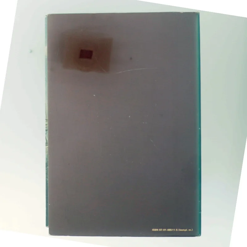 Bog - Dagligliv i Danmark (1620-1720) fra Gyldendal