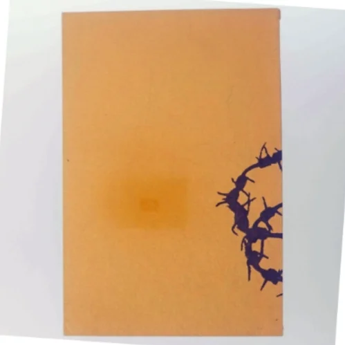 Historisk bog om Sæby