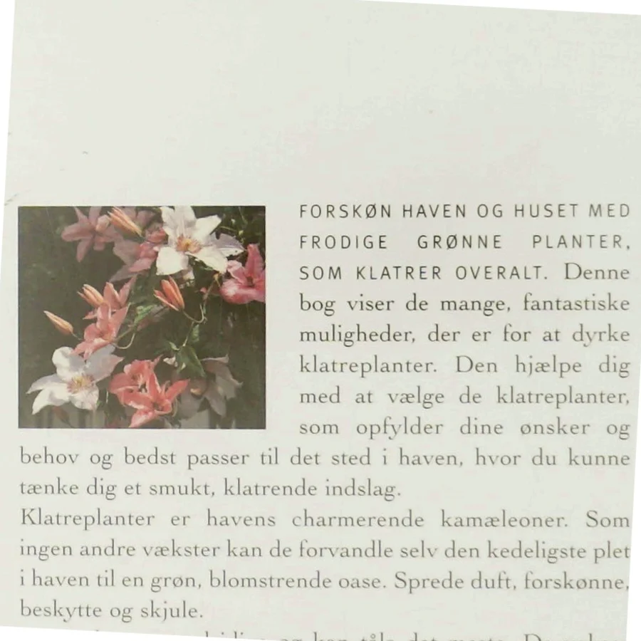 Der Hammer ist die 2. von links : kommunikativ tyskundervisning af Peter Clausen (f. 1955) (Bog)