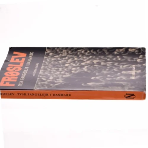 Frøslev - Tysk fangelejr i Danmark