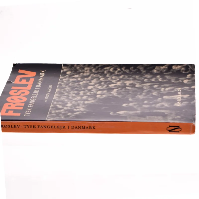 Frøslev - Tysk fangelejr i Danmark