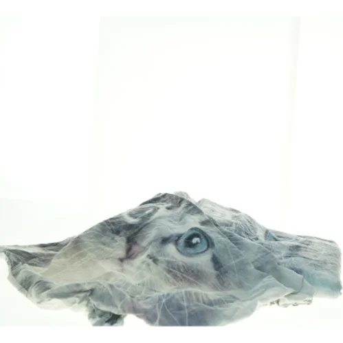 Sengesæt med katteprint (str. 130 x 176 cm og 55 x 51 cm)