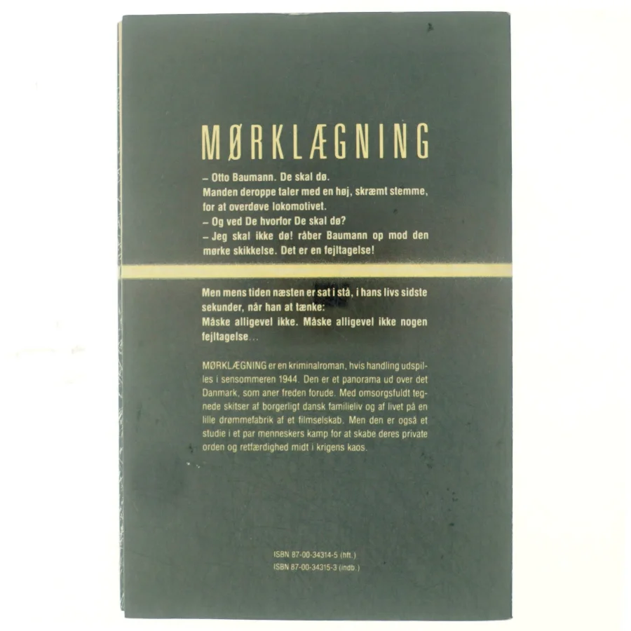 Mørklægning af Anders Bodelsen (bog)