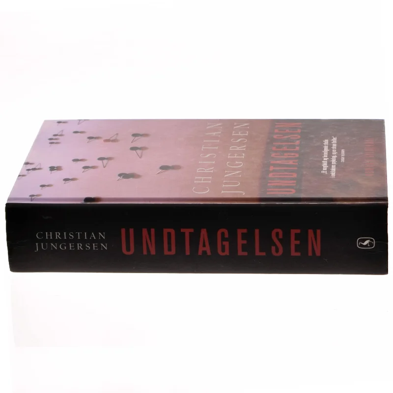 Undtagelsen af Christian Jungersen (Bog)