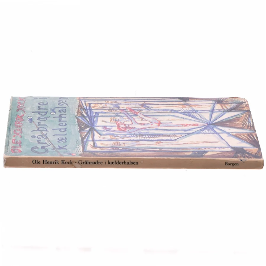 Gråbrødre i kælderhalsen af Ole Henrik Kock (bog)