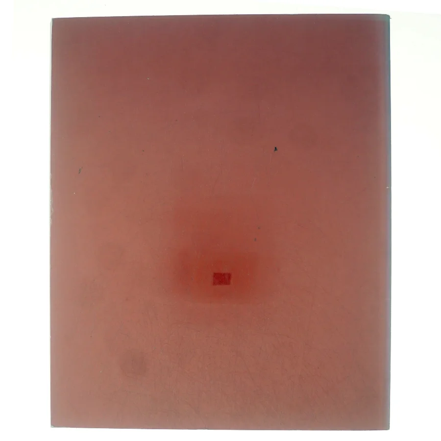 The Anneberg Collection (bog)