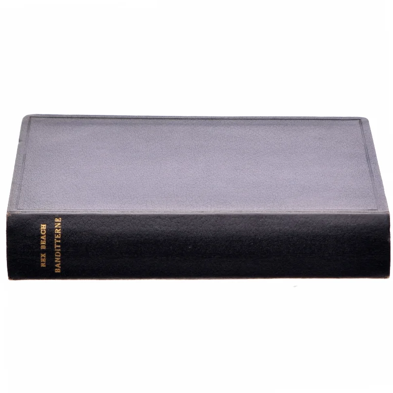 Banditterne af Rex Beach (bog)