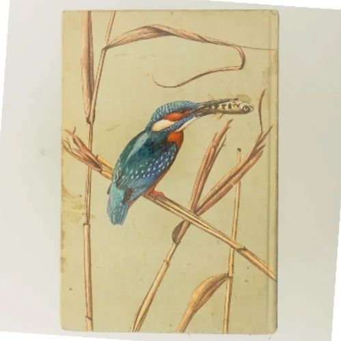 Fugle fra hav, sø og mose af <Boges forfattere> (Bog)