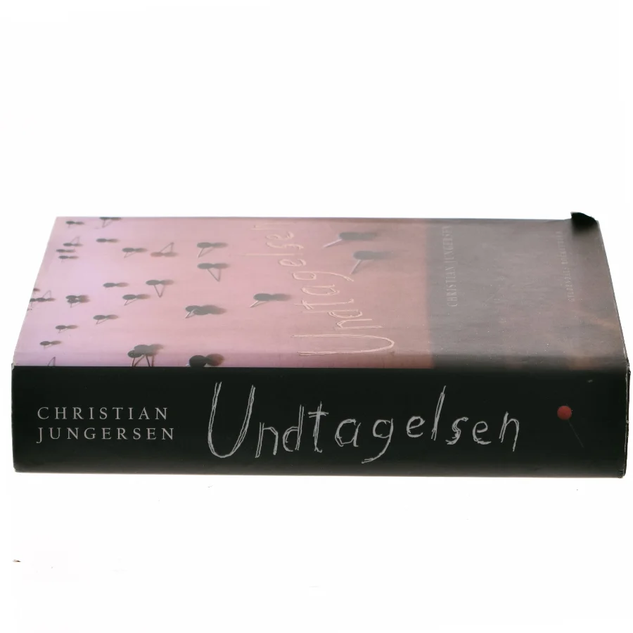 Undtagelsen : roman af Christian Jungersen (Bog)
