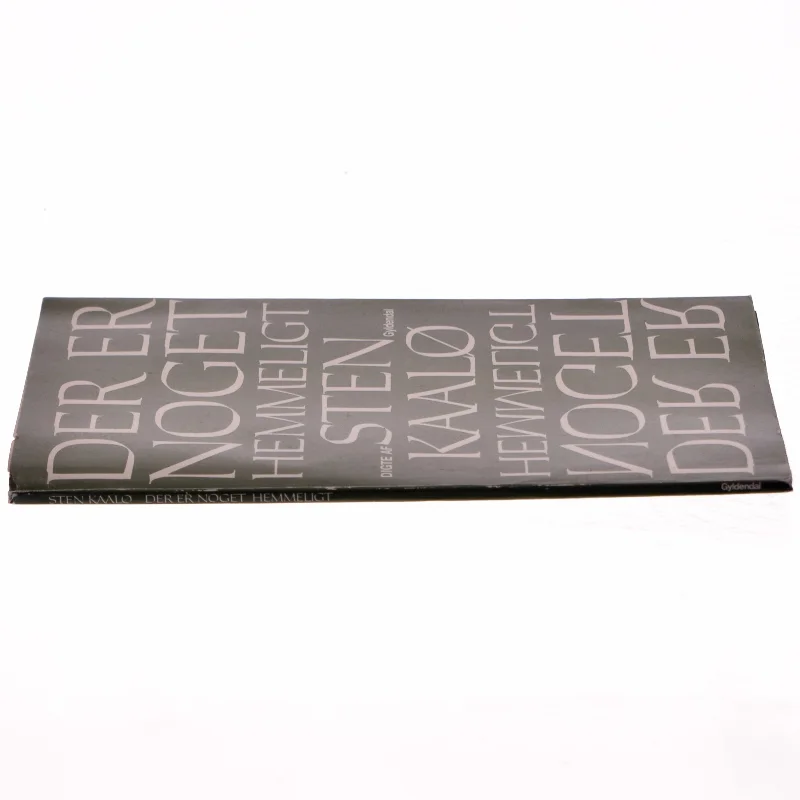 Sten Kaalø: Der er noget hemmeligt