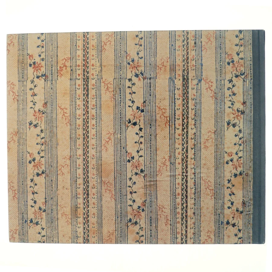 Darmstädter Bauten vor 1850 ( bog)