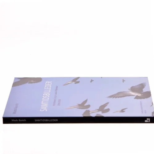 Samtidsbilleder : realismen i yngre dansk litteratur 1994-2008 af Mads Bunch (Bog)
