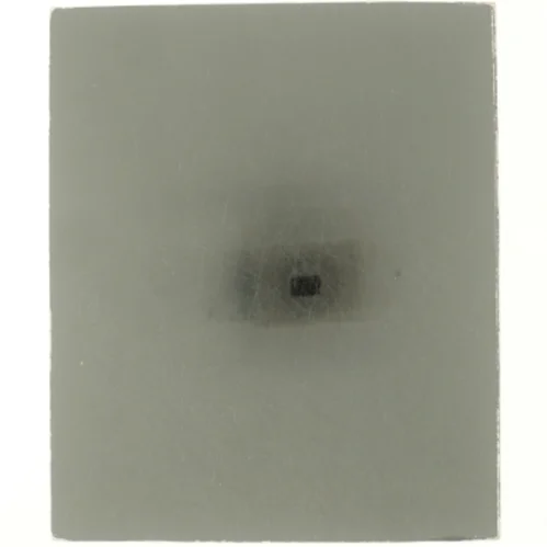 Portrætter af Lise Svanholm (bog)