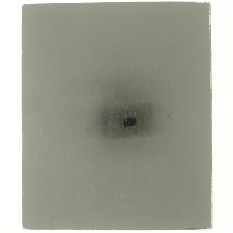 Portrætter af Lise Svanholm (bog)