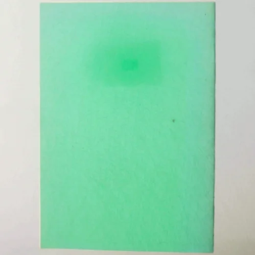 Mogens Thomsen: En kort oversigt over plastikkirurgiens ældre historie