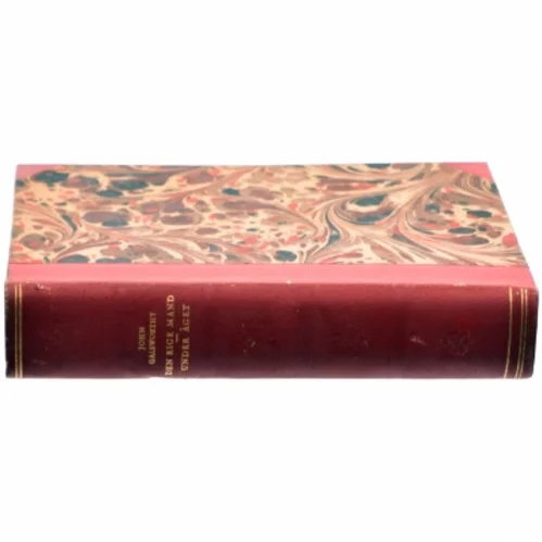 Den rige mand - Under åget af John Galsworthy (bog)