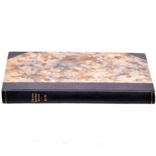 Kim af Vibeke Malthe-Bruun (bog